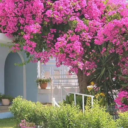 Pelagos Bay Hotel 3* 케팔로니아
